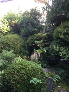 庭木の選定、草刈りのご依頼でした。