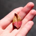 三重県伊賀市　名張市　遺品整理　無料見積もり