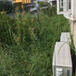 三重県名張市｜草が生い茂る庭の草刈りのご依頼